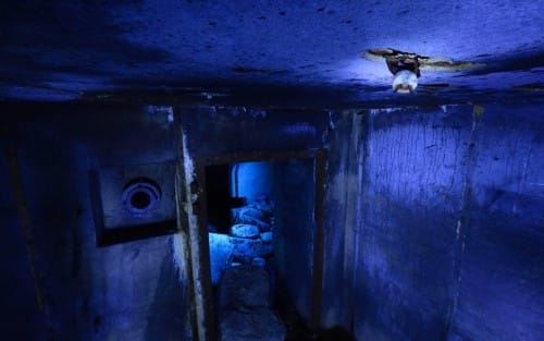 Lukasz Bozycki fotografiert in deutschen Bunkern Wasserfledermäuse, die dort auch bei Minusgraden ausharren