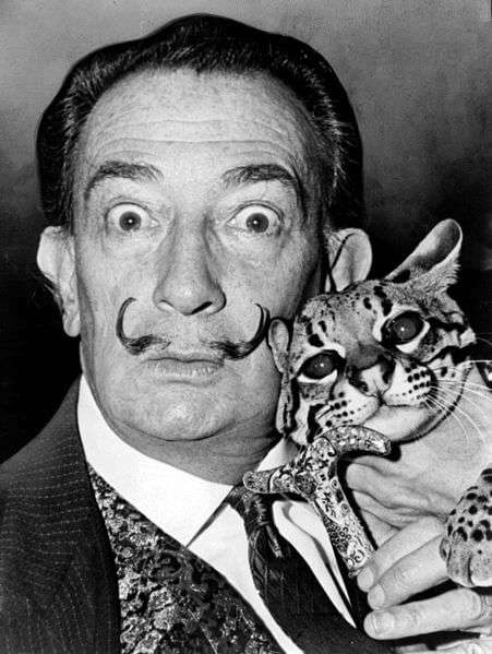 Salvadore Dalí - Der exzentrische Katalane Künstler sigmund freud Salvador Dali mit Babou, dem Ozelot (1965)