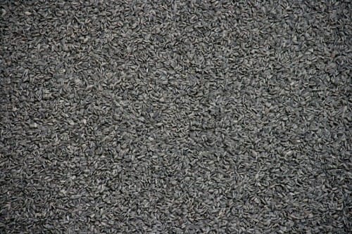 Ai Wei Wei's Sunflower Seeds, Tate Modern (2010)