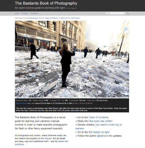 9 der besten Websites für künstlerische Aus- und Weiterbildung Kunstkurse & Künstlerische Ausbildung acrylmalerei The Bastards Book of Photography