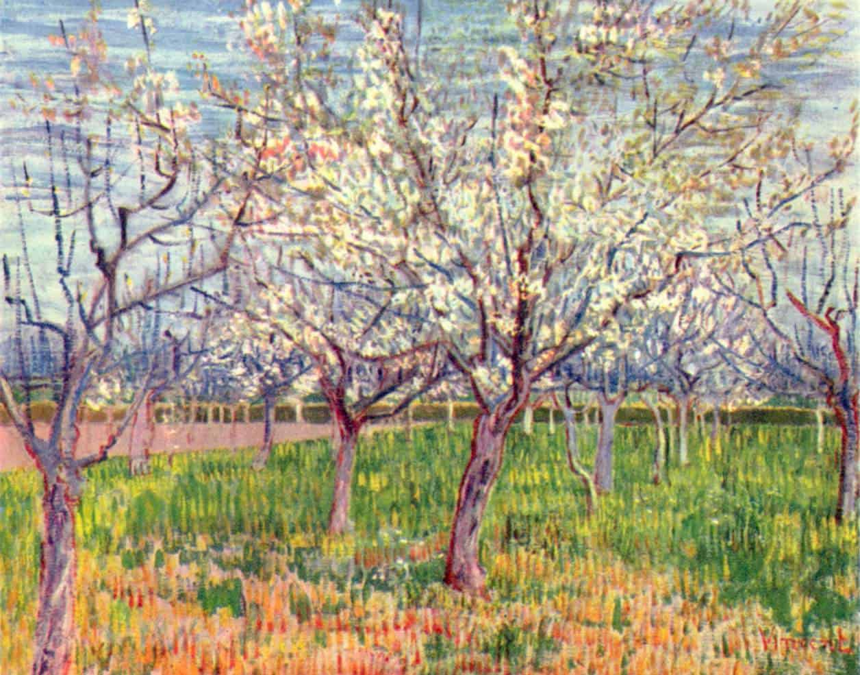 Blühender Obstgarten (1888) von Vincent van Gogh