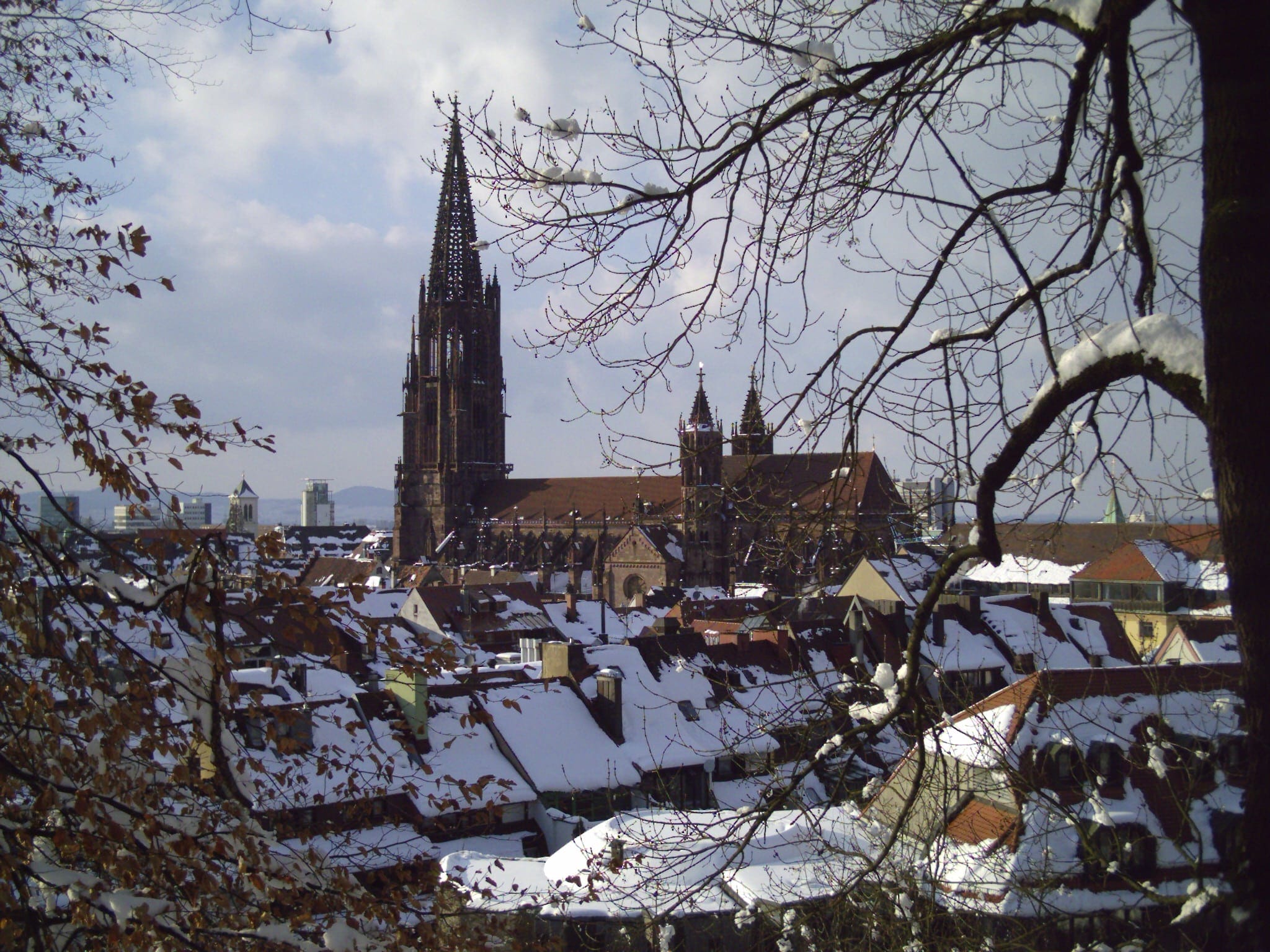 Freiburger Münster März 2006