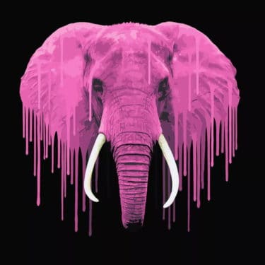Digitales Kunstwerk „Pink Elephant (2019)“ von Carl Moore als limitierter Giclée Print