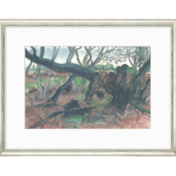 Günter Grass: Algrafie "Waldlandschaft auf Moen" (2001), gerahmt
