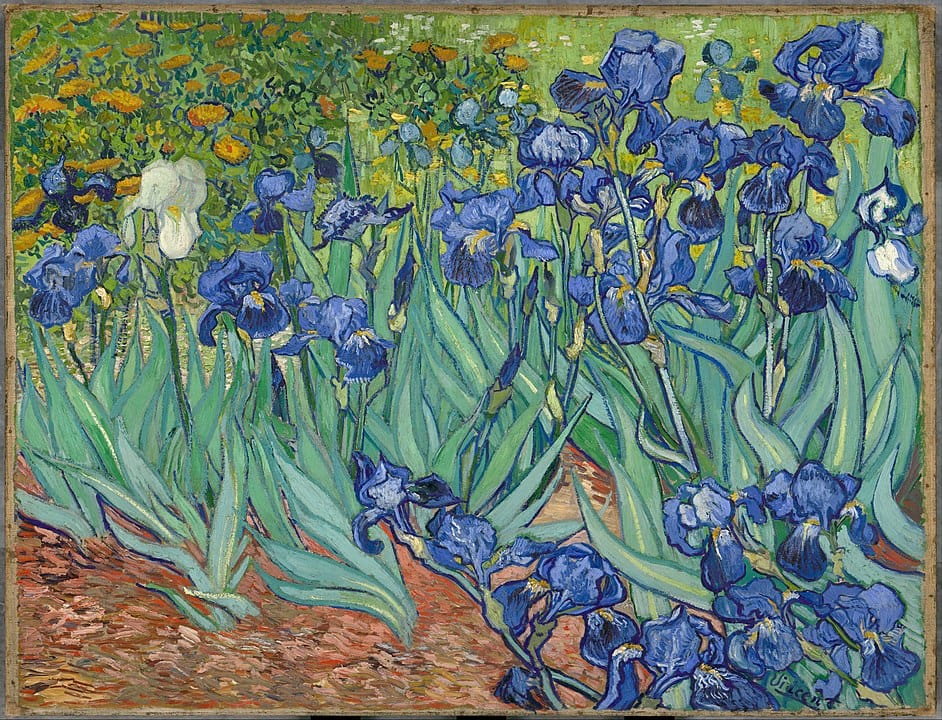 Schwertlilien von Vincent van Gogh