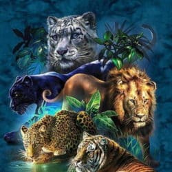 Diamond painting motif with wildcats