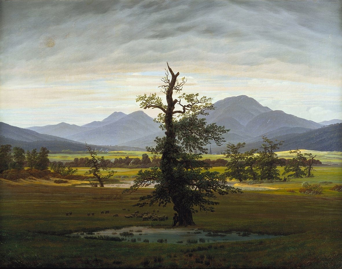 Ähnlich wie viele andere Kunstwerke von Caspar David Friedrich, beinhaltet auch das Gemälde "Der einsame Baum" eine tiefe Symbolik und ist nicht nur eine Darstellung einer von sanftem Morgenlicht durchfluteten Landschaft. Ein wichtiger Aspekt des Bildes ist die Eiche, die für Unvergänglichkeit und Dauerhaftigkeit steht. Doch gleichzeitig zeigt sie auch das Leben und den Tod vereint, was auf den Zyklus des irdischen Daseins hinweist. Die unteren Äste sind noch voller Leben und die Blätter frisch, während die oberen Äste bereits abgestorben sind. Das Bild veranschaulicht einmal mehr, wie klein und unbedeutend der Mensch und seine Schöpfungen im Vergleich zur vollkommenen Natur Gottes sind.