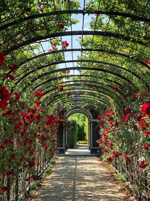 Der Garten als Sehnsuchtsort in der modernen Dichtung