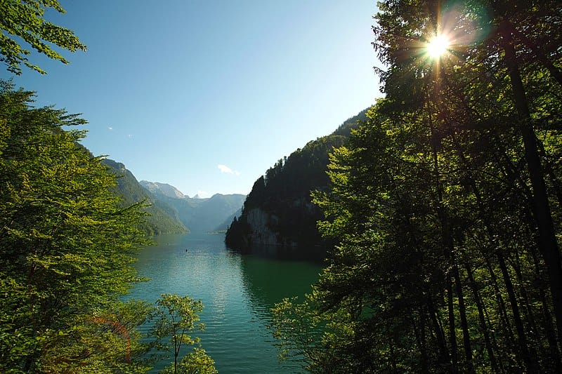 Blick auf den Königssee Richtung Alpen vom Ort Schönau aus