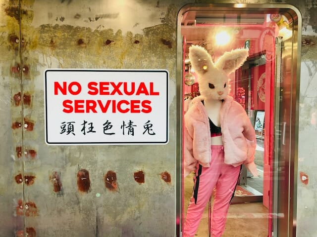 No Sexual Services - weißes Kaninchen-Plüschtier im rosa Anzug