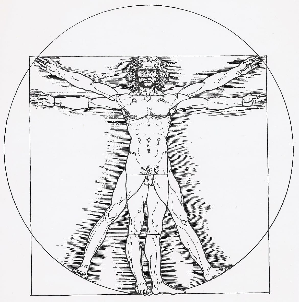 Vitruvianischer Mann von Leonardo da Vinci