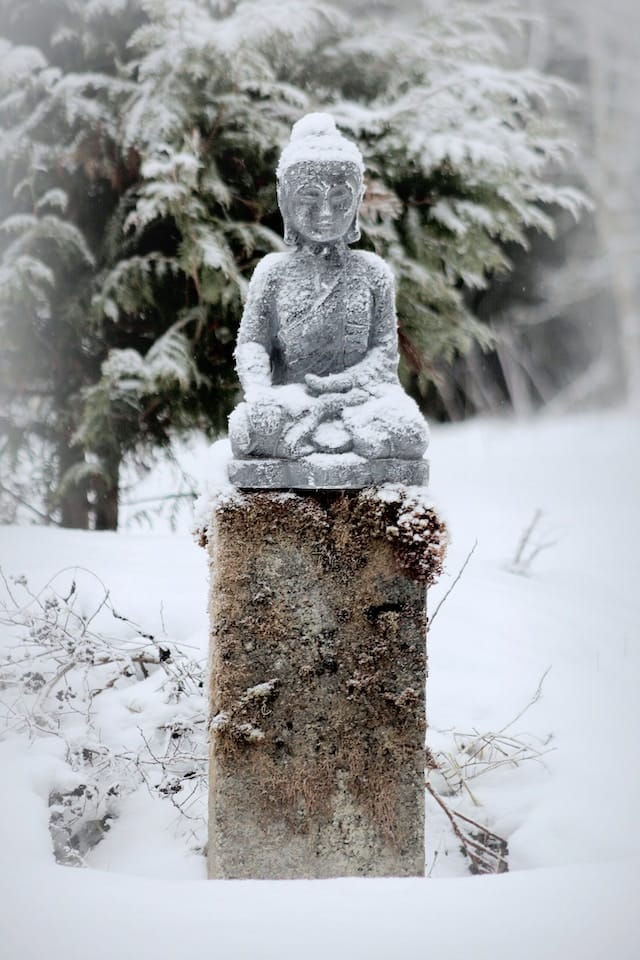 Gartenskulpturen - Zum Schutz vor Frost und Kälte ist eine sorgfältige Vorbereitung unerlässlich