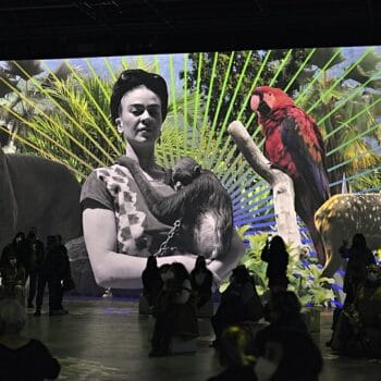 Die Malerin inmitten ihrer Inspirationsquellen aus Natur und Tierwelt, immersive 3D-Ausstellung im IDEAL Centre d'Arts Digitals de Barcelona