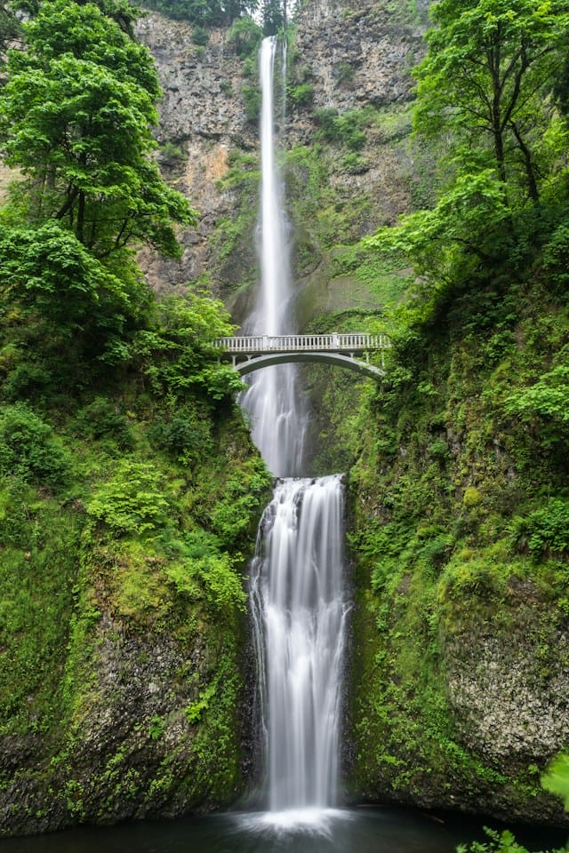 Mutter Natur ist eine unerschöpfliche Inspirationsquelle