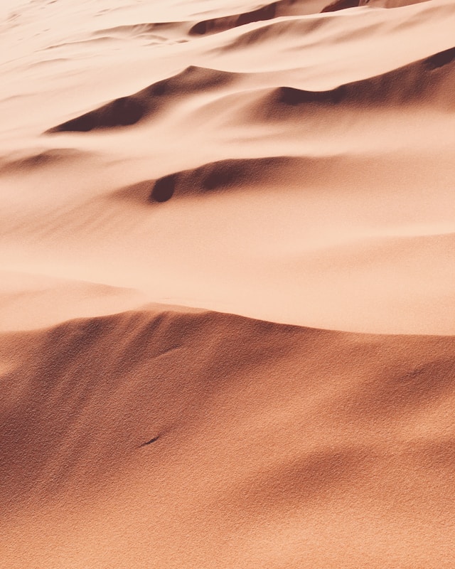 Ägyptens Wüstensand hält mehr Schätze bereit, als es auf den ersten Blick scheint