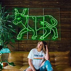 Influencer und Media Creators schaffen es, auf authentische und unkonventionelle Art, ihre Community anzusprechen. Das ist über klassisches Marketing für kulturelle Einrichtungen meist unmöglich.