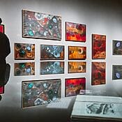Erkunden Sie verschiedene Arten von Kunstwerken, Medien und Stilen