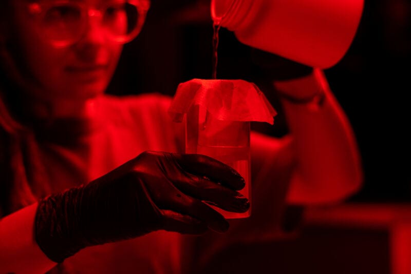 Bei der Aufklärung von Kunstverbrechen spielen Forensiker und Kunst-Detektive eine bedeutende Rolle