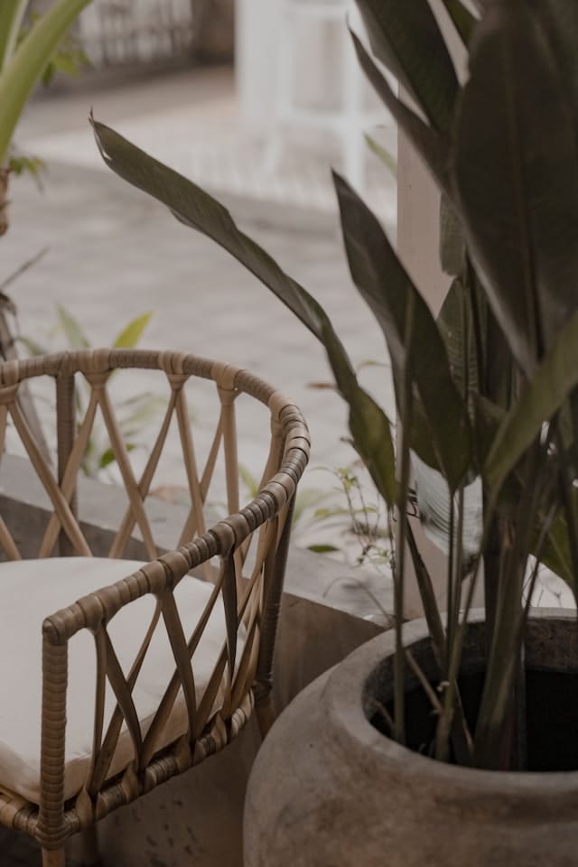 Rattanmöbel für den Innen- und Außenbereich - Ist ihre Popularität berechtigt? Inneneinrichtung boho Rattan und Pflanzen sind das perfekte Duo für jeden, der eine natürliche, organische Atmosphäre in seinem Zuhause schaffen möchte