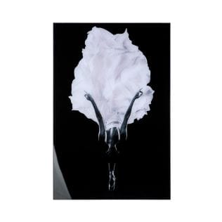 Modern acrylic image &quot;Ballerina in black and white&quot;, high-quality aluminum frame