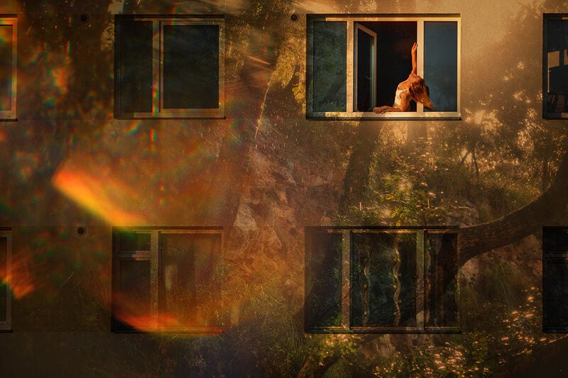 Romantic photo art as a fine art print for hotels and restaurants