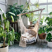 Projekt Indoor Jungle: Die Innenhaltung von Pflanzen erfüllt einen Zweck, der über die bloße Dekoration hinausgeht.