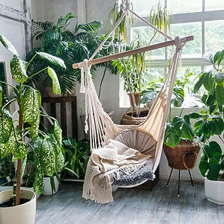 Projekt Indoor Jungle: Die Innenhaltung von Pflanzen erfüllt einen Zweck, der über die bloße Dekoration hinausgeht.