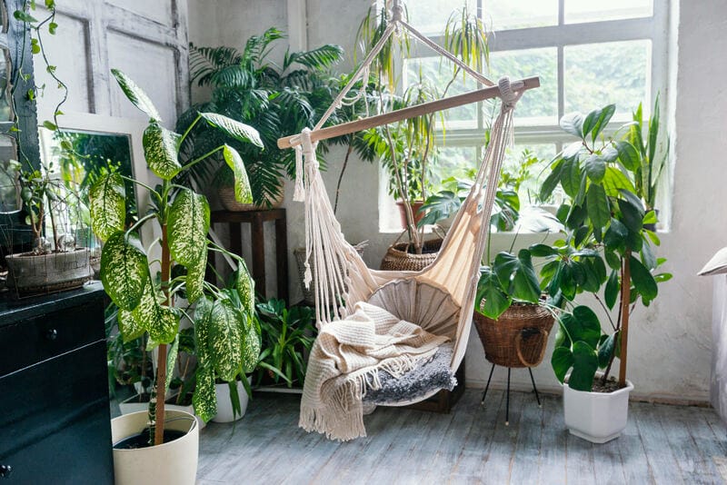 Projekt Indoor Jungle: Die Innenhaltung von Pflanzen erfüllt einen Zweck, der über die bloße Dekoration hinausgeht.