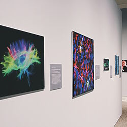 Mithilfe von Bildlegenden und textlichem Kontext werden Ausstellungen zu einer Entdeckungsreise und verschaffen den Besuchern echten Erkenntnisgewinn.