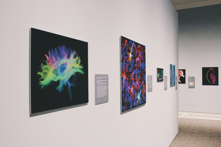Mithilfe von Bildlegenden und textlichem Kontext werden Ausstellungen zu einer Entdeckungsreise und verschaffen den Besuchern echten Erkenntnisgewinn.
