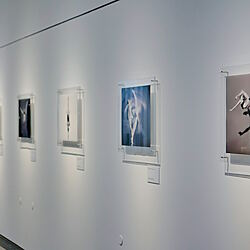 Museen sind durch den European Accessibility Act in der Pflicht, einen barrierefreien Zugang zu Ausstellungen und Informationen zu gewährleisten