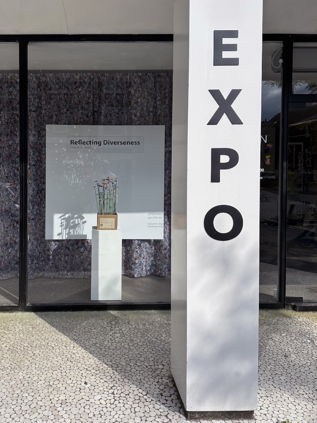 REFLECTING DIVERSITY