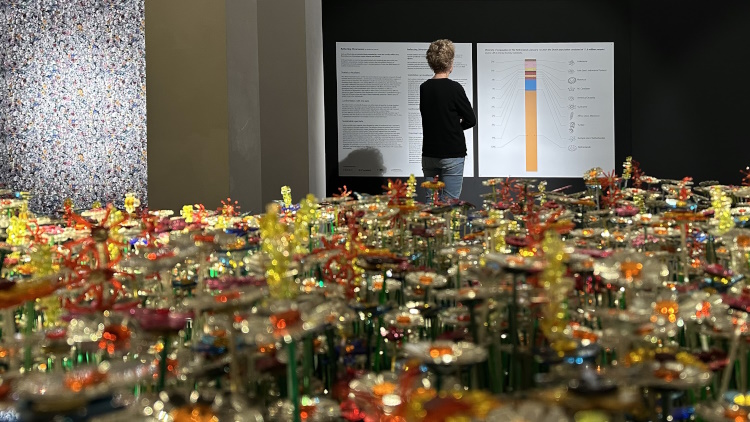 REFLECTING DIVERSITY