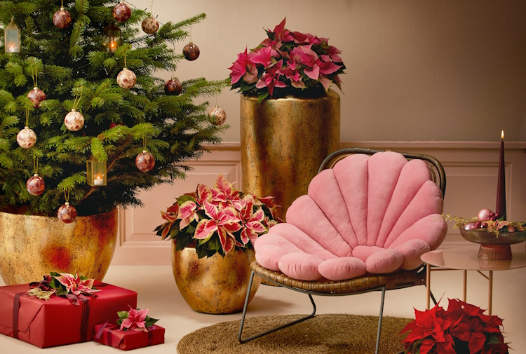 Kräftige, leuchtende Farben wie Pink, Gold und Smaragdgrün sind typisch für den Kitschmas Decor Style zu Weihnachten.