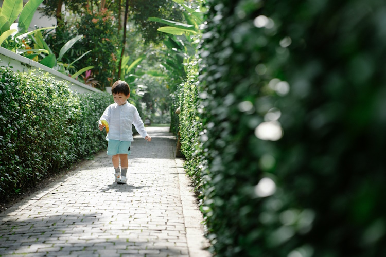 Für Naturhecken sind Rosengewächse wie Heckenrose, Schlehe oder Weißdorn sehr beliebt.