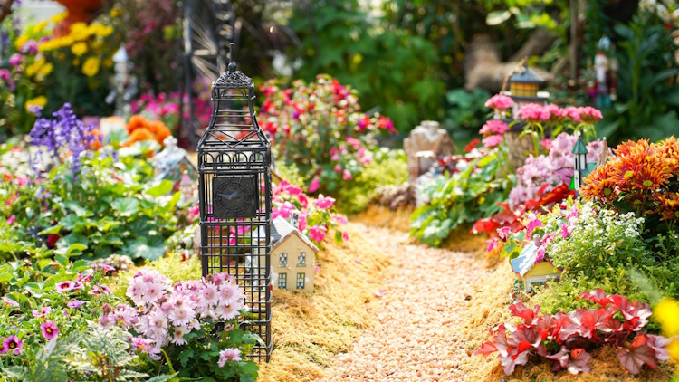 Rewilding is one of the major garden trends of 2026