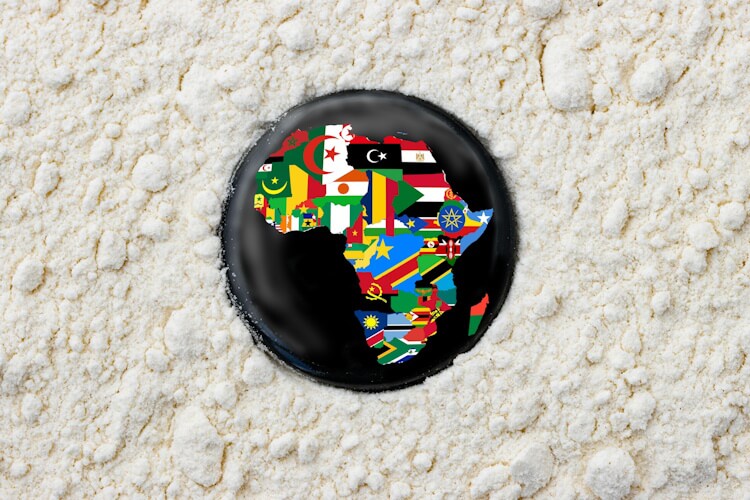 Die Bildwelten zeitgenössischer Kunst aus Afrika sind so divers wie der Kontinent selbst, der 54 Länder und unzählige Kulturen umfasst.