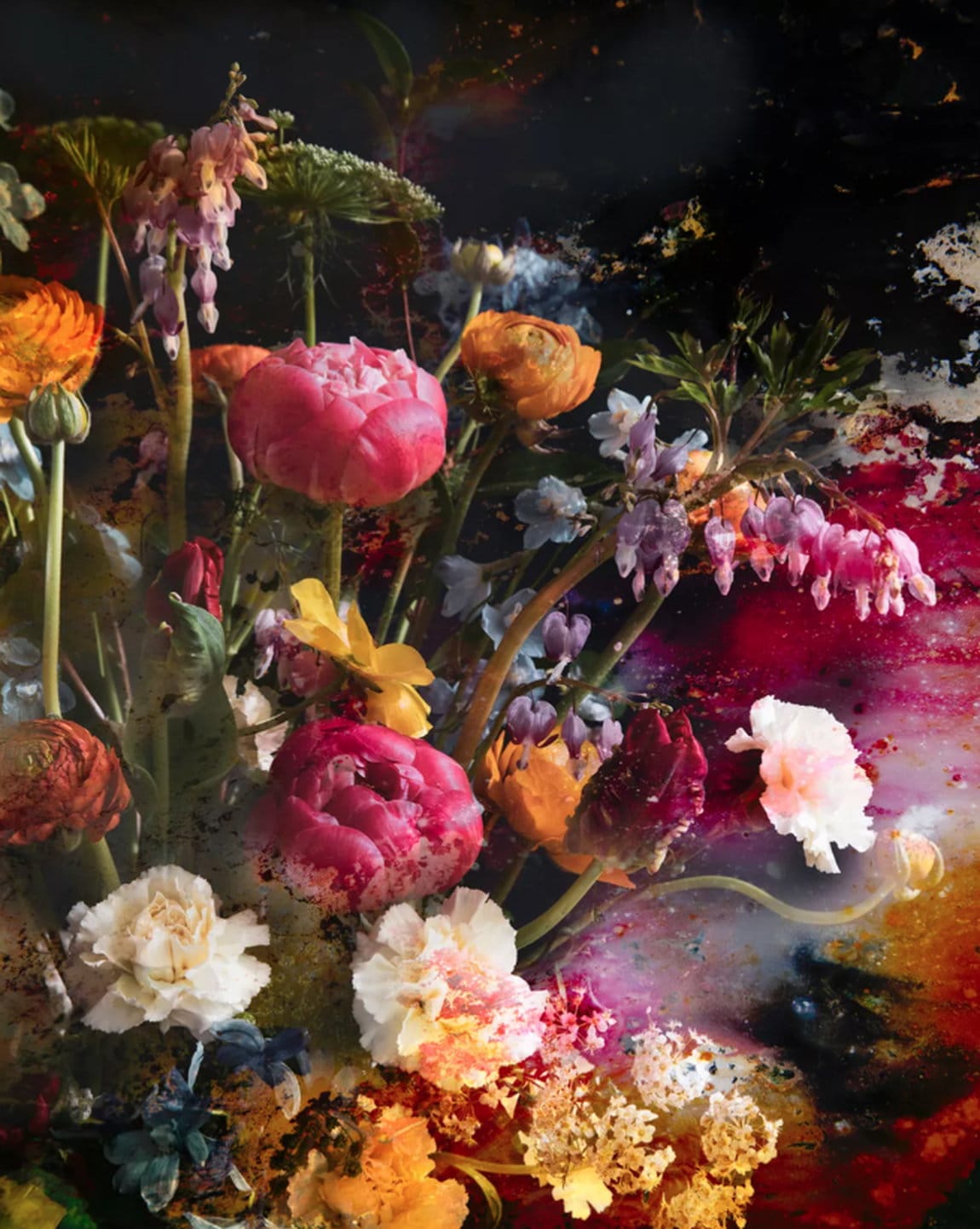Flower photography &quot;Baroque Flowers I&quot; (2021) by Viet Ha Tran
