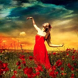 Künstlerische Fotografie "Summer on the poppy field" (2016) von Viet Ha Tran
