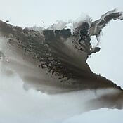 Abstraktion "Immersion" (2011) von Muriel Napoli, Acryl & Tusche auf Leinwand