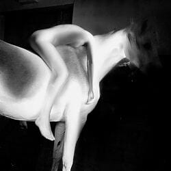 Abstrakte Tierfotografie "cheval blanc 06" von Gérard Pétremand