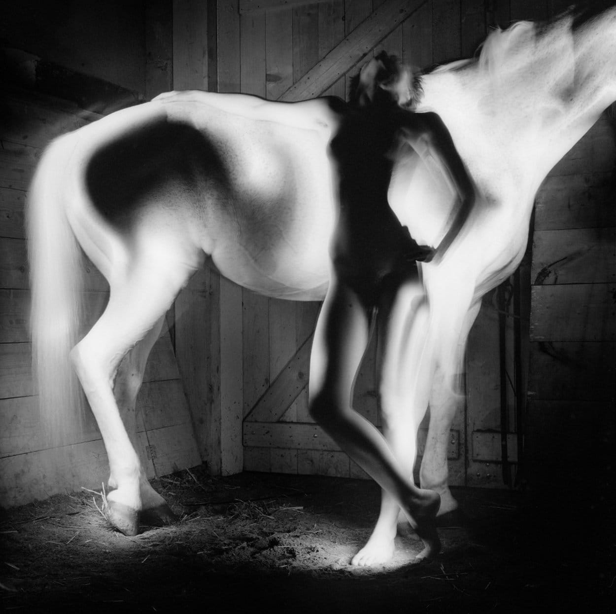 Abstract animal photography &quot;Cheval Blanc 01&quot; by Gérard Pétremand