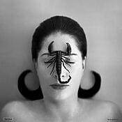 "Silk Shawl: Homage to Frida Kahlo" (2014) von Marina Abramović, limitierter Siebdruck