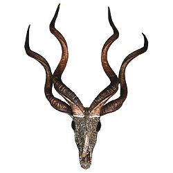 Biomorphe Chimäre "BEZOER" von Marina Della Preda, Taxidermie als Wandobjekt