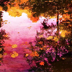 Nature photography &quot;The breath of autumn III&quot; (2022) by Viet Ha Tran
