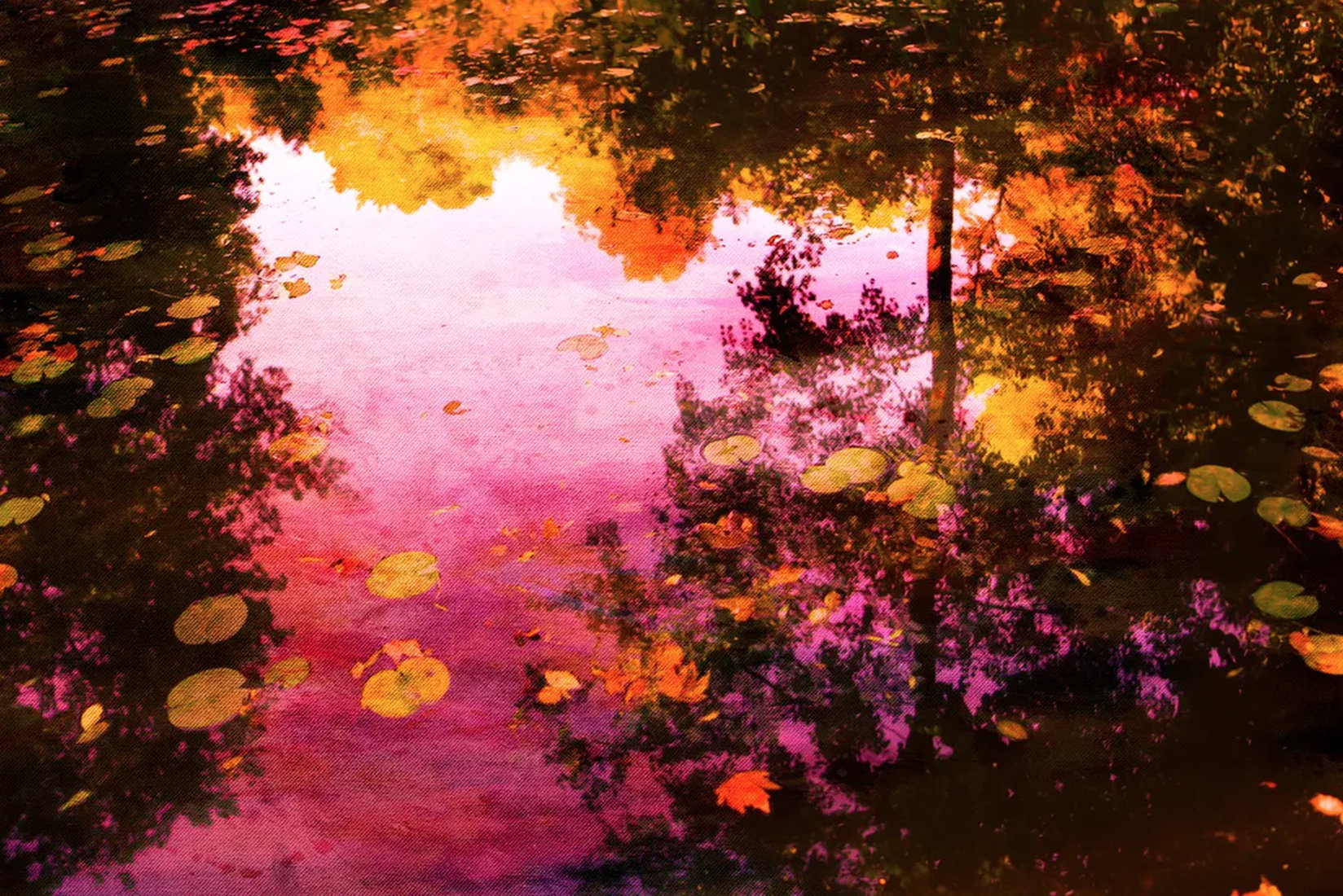 Nature photography &quot;The breath of autumn III&quot; (2022) by Viet Ha Tran