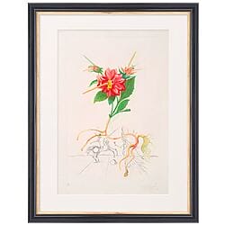 "Dahlia unicornis" (1968) von Salvador Dalí, limitierte Radierung auf Papier