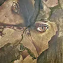 Profile picture of ETIVER